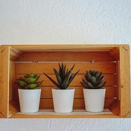 아파트 Il Vicoletto 이글레시아스